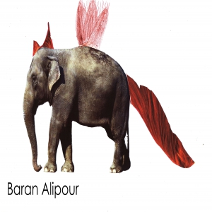 Baran Alipour 10Y