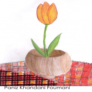 Paniz Khandani Foumani 8Y