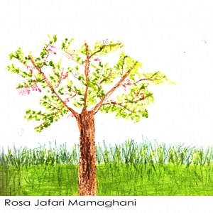 Rosa Jafari Mamaghani 7Y 