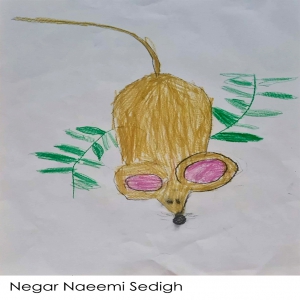 Negar Naeemi Sedigh   6Y