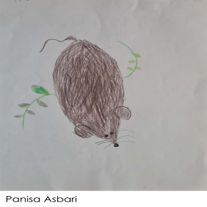 Panisa Asbari  6Y