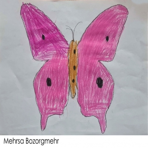 Mehrsa Bozorgmehr  6Y