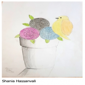 Shania Hassanvali 11Y