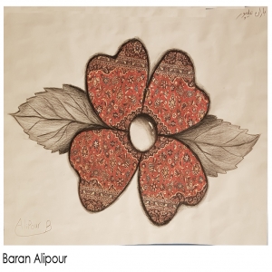 Baran Alipour 11Y