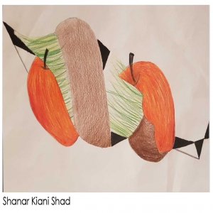 Shanar Kiani Shad 10Y