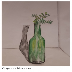 Kiayana Noorian 9Y