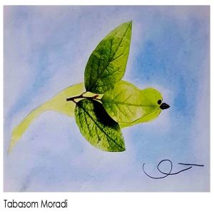 Tabasom Moradi 11Yrs .2025
