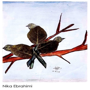 Nika Ebrahimi 2025