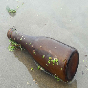بطری در کنار دریا